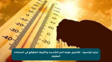 حرارة قياسية.. تفاصيل موجة الحر الشديدة وتأثيرها المتوقع في الساعات المقبلة